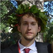 Laureato Triennale in ingegneria elettronica offre ripetizioni di matematica